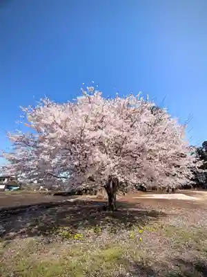 鹿嶋三嶋神社(茨城県)