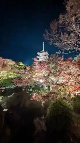 東寺（教王護国寺）(京都府)