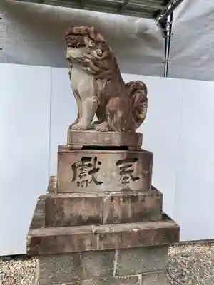柏原八幡宮の狛犬