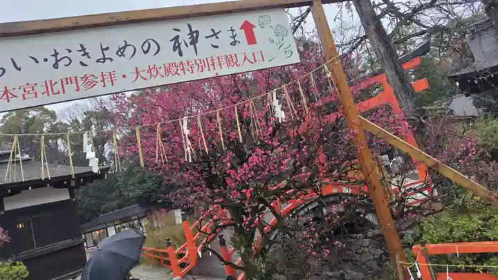 賀茂御祖神社(下鴨神社)(京都府)