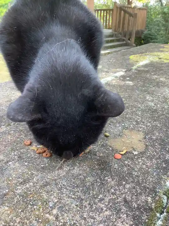 玉野御嶽神社の動物