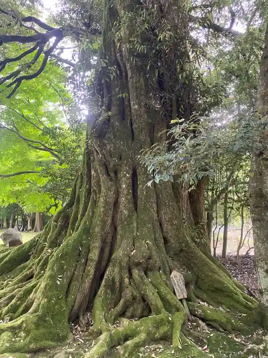 若狭神宮寺(福井県)