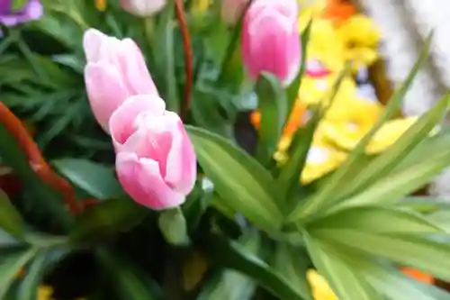 北野天満宮の手水舎