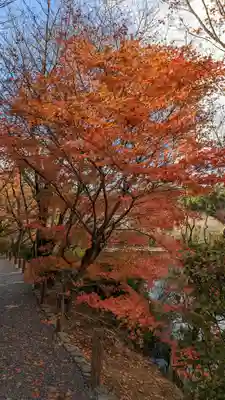 龍安寺(京都府)
