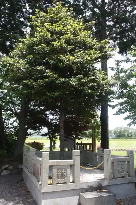 八幡神社(滋賀県)