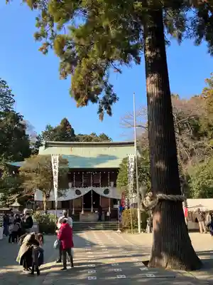 比々多神社(神奈川県)
