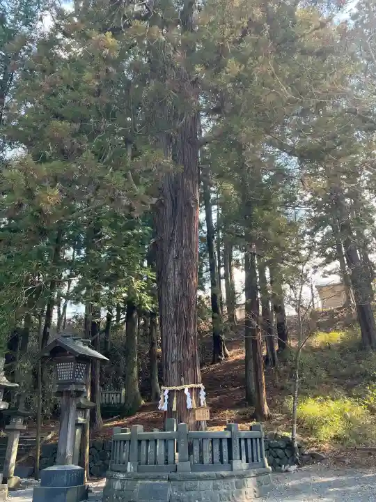 諏訪大社下社春宮の{uncategorized: "未分類", other: "その他", undefined: "問題あり", building: "その他建物", grave: "お墓", sacred_gate: "鳥居", guardian: "狛犬", statue: "像", buddha: "仏像", history: "歴史", nature: "自然", garden: "庭園", animal: "動物", pagoda: "塔", temizu: "手水舎", mountain_gate: "山門・神門", sanctuary: "本殿・本堂", subordinate: "末社・摂社", art: "芸術", scenery: "景色", jizo: "地蔵", ema: "絵馬", goshuin: "御朱印", omikuji: "おみくじ", items: "授与品その他", amulet: "お守り", goshuincho: "御朱印帳", eats: "食事", festival: "お祭り", votive_dance: "神楽", shichigosan: "七五三参", wedding: "結婚式", experience: "体験その他", initially: "初詣", around: "周辺", anti_infection: "感染症対策"}