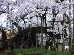 実相寺(山梨県)