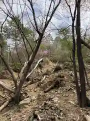 河上神社の自然