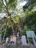 葛見神社(静岡県)