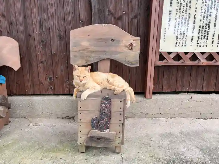 豊玉姫神社(香川県)