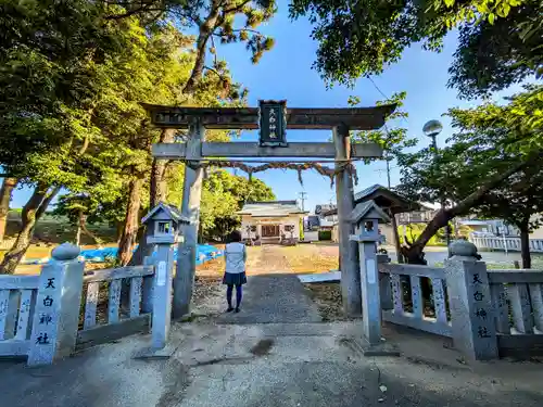 天白神社の鳥居