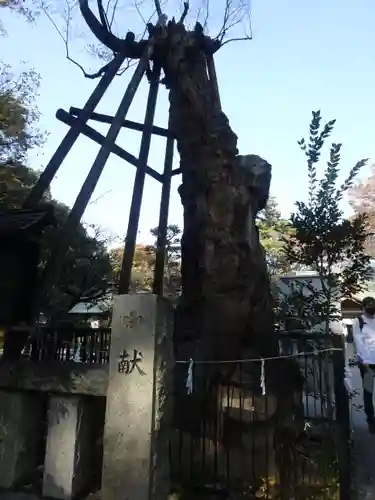 布多天神社のその他建物