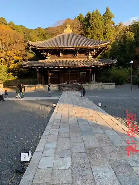 知恩院の本殿・本堂