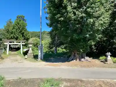 鷲神社(栃木県)