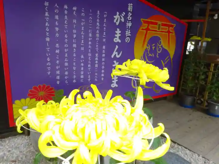 菊名神社の自然