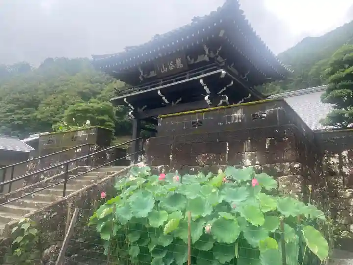 霊巌寺(和歌山県)