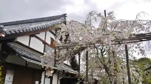 神光院の庭園