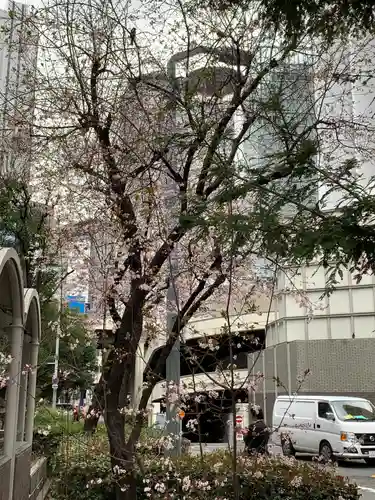 徳兵衛大明神の自然