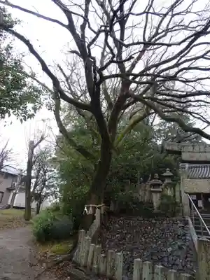 菅原神社(大阪府)