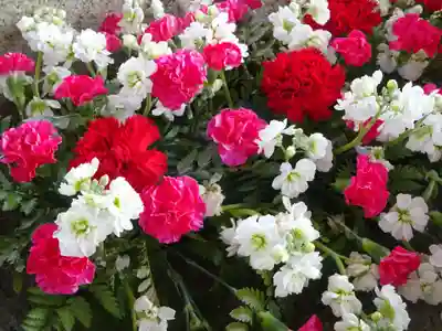 比々多神社の手水舎