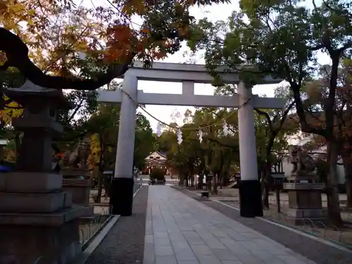 湊川神社の鳥居