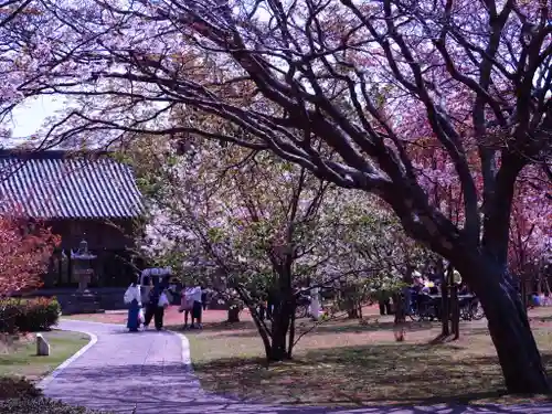 亀岡神社の庭園