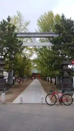 葛飾八幡宮の鳥居