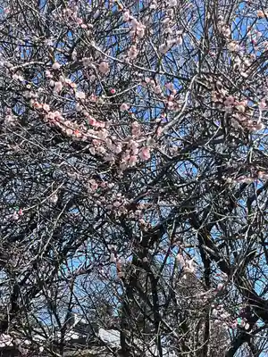 大前神社(栃木県)