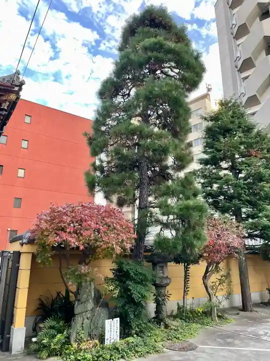 専光寺(東京都)