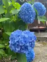 手力雄神社(岐阜県)