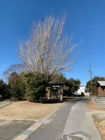 八坂神社(千葉県)