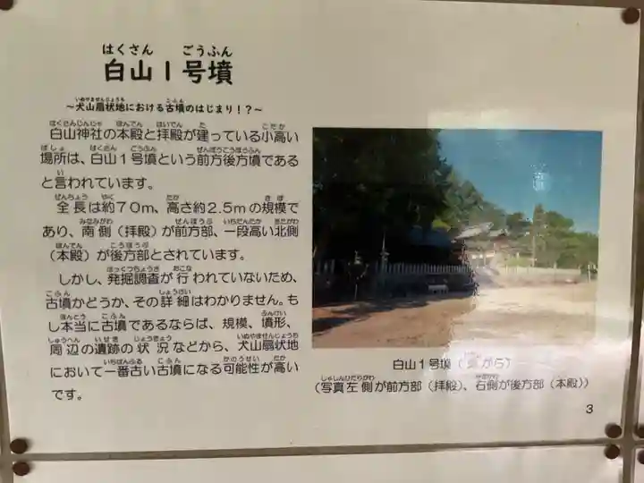 白山社(下小口白山社)(愛知県)