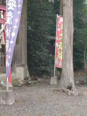 三光稲荷神社(福島県)