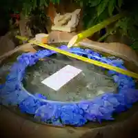 東京羽田 穴守稲荷神社(東京都)