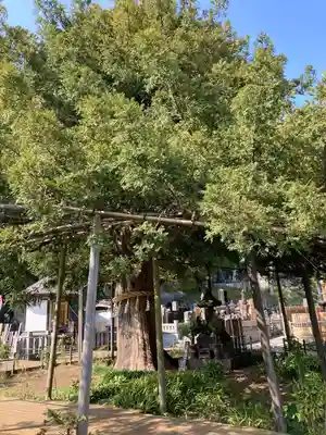 上行寺(神奈川県)