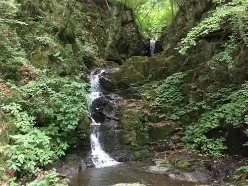 九頭龍神社の自然