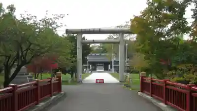 札幌護國神社の鳥居