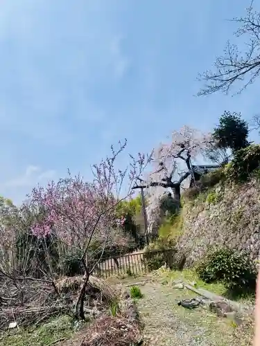地蔵院の{uncategorized: "未分類", other: "その他", undefined: "問題あり", building: "その他建物", grave: "お墓", sacred_gate: "鳥居", guardian: "狛犬", statue: "像", buddha: "仏像", history: "歴史", nature: "自然", garden: "庭園", animal: "動物", pagoda: "塔", temizu: "手水舎", mountain_gate: "山門・神門", sanctuary: "本殿・本堂", subordinate: "末社・摂社", art: "芸術", scenery: "景色", jizo: "地蔵", ema: "絵馬", goshuin: "御朱印", omikuji: "おみくじ", items: "授与品その他", amulet: "お守り", goshuincho: "御朱印帳", eats: "食事", festival: "お祭り", votive_dance: "神楽", shichigosan: "七五三参", wedding: "結婚式", experience: "体験その他", initially: "初詣", around: "周辺", anti_infection: "感染症対策"}