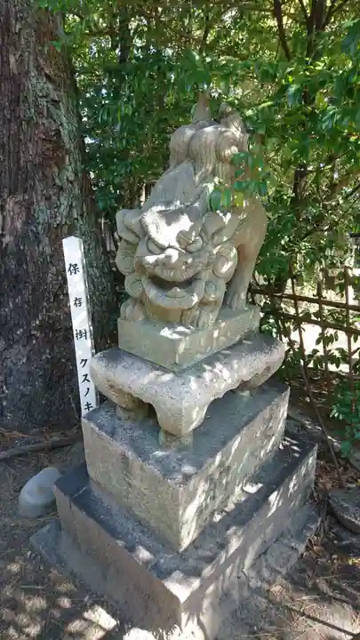築地神社の狛犬