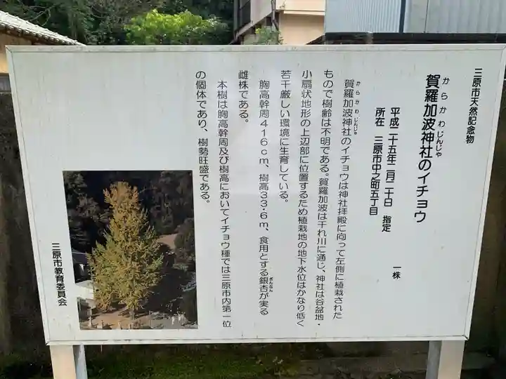賀羅加波神社の自然
