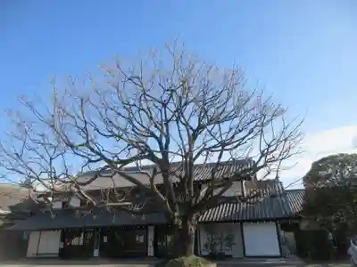 吉祥寺(東京都)