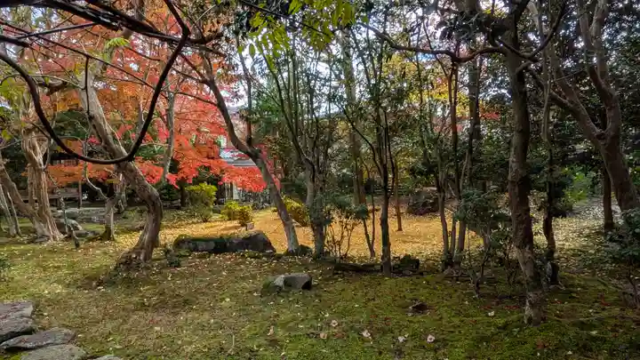 栖賢寺(京都府)