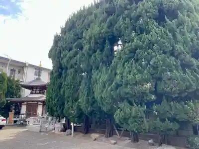 戒行寺の{uncategorized: "未分類", other: "その他", undefined: "問題あり", building: "その他建物", grave: "お墓", sacred_gate: "鳥居", guardian: "狛犬", statue: "像", buddha: "仏像", history: "歴史", nature: "自然", garden: "庭園", animal: "動物", pagoda: "塔", temizu: "手水舎", mountain_gate: "山門・神門", sanctuary: "本殿・本堂", subordinate: "末社・摂社", art: "芸術", scenery: "景色", jizo: "地蔵", ema: "絵馬", goshuin: "御朱印", omikuji: "おみくじ", items: "授与品その他", amulet: "お守り", goshuincho: "御朱印帳", eats: "食事", festival: "お祭り", votive_dance: "神楽", shichigosan: "七五三参", wedding: "結婚式", experience: "体験その他", initially: "初詣", around: "周辺", anti_infection: "感染症対策"}