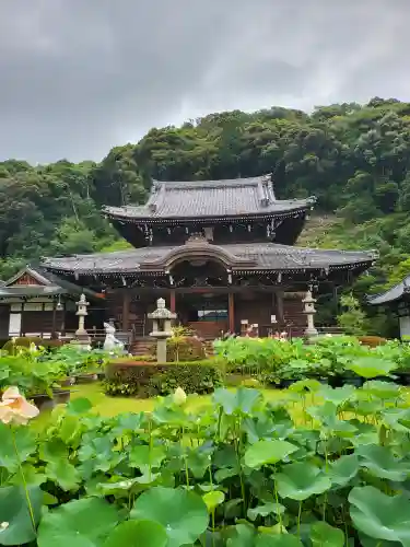 三室戸寺(京都府)