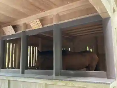 伊勢神宮内宮（皇大神宮）(三重県)
