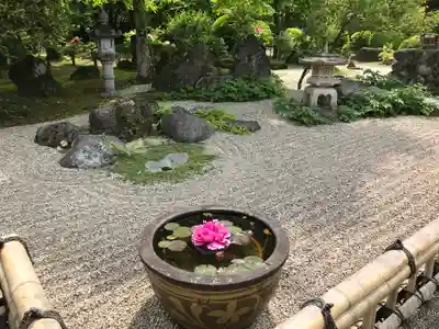 長泉院の庭園