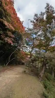 勝持寺（花の寺）(京都府)