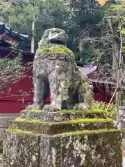 箱根神社の狛犬