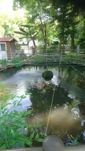 酒見神社の庭園